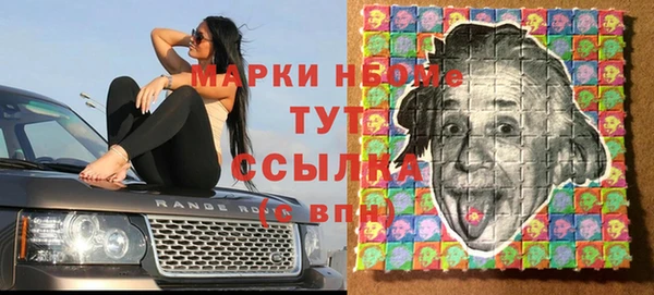 прущие грибы Кущёвская