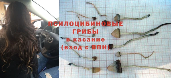 дживик Покровск