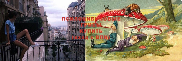 крисы Белая Холуница