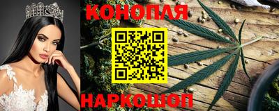 шишки Донской