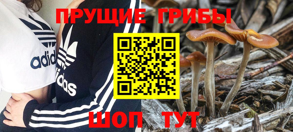 Галлюциногенные грибы прущие грибы Старая Купавна
