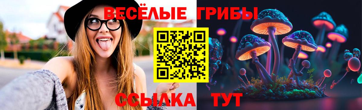 Псилоцибиновые грибы Magic Shrooms  закладки  Старая Купавна  Вход с VPN 